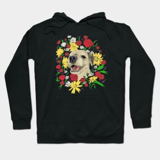 Border Terrier and Flowers in Colour Hoodie